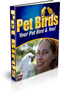 Passaros Pets
