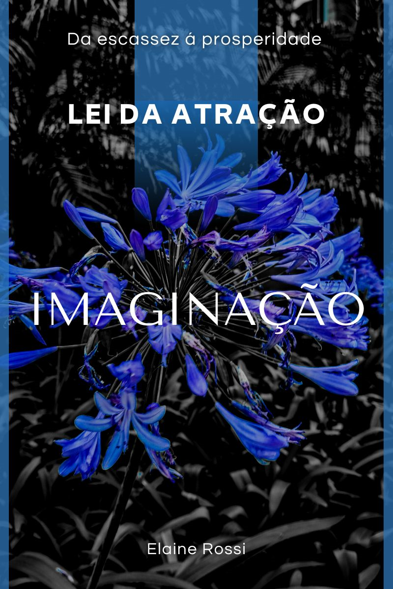 IMAGINAÇÃO