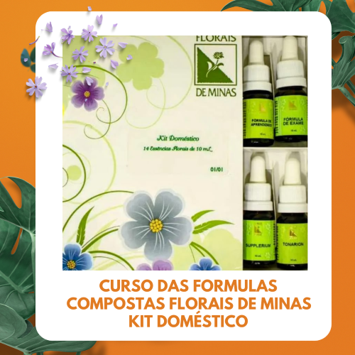 Curso das Formulas Compostas Florais de Minas - Kit Doméstico