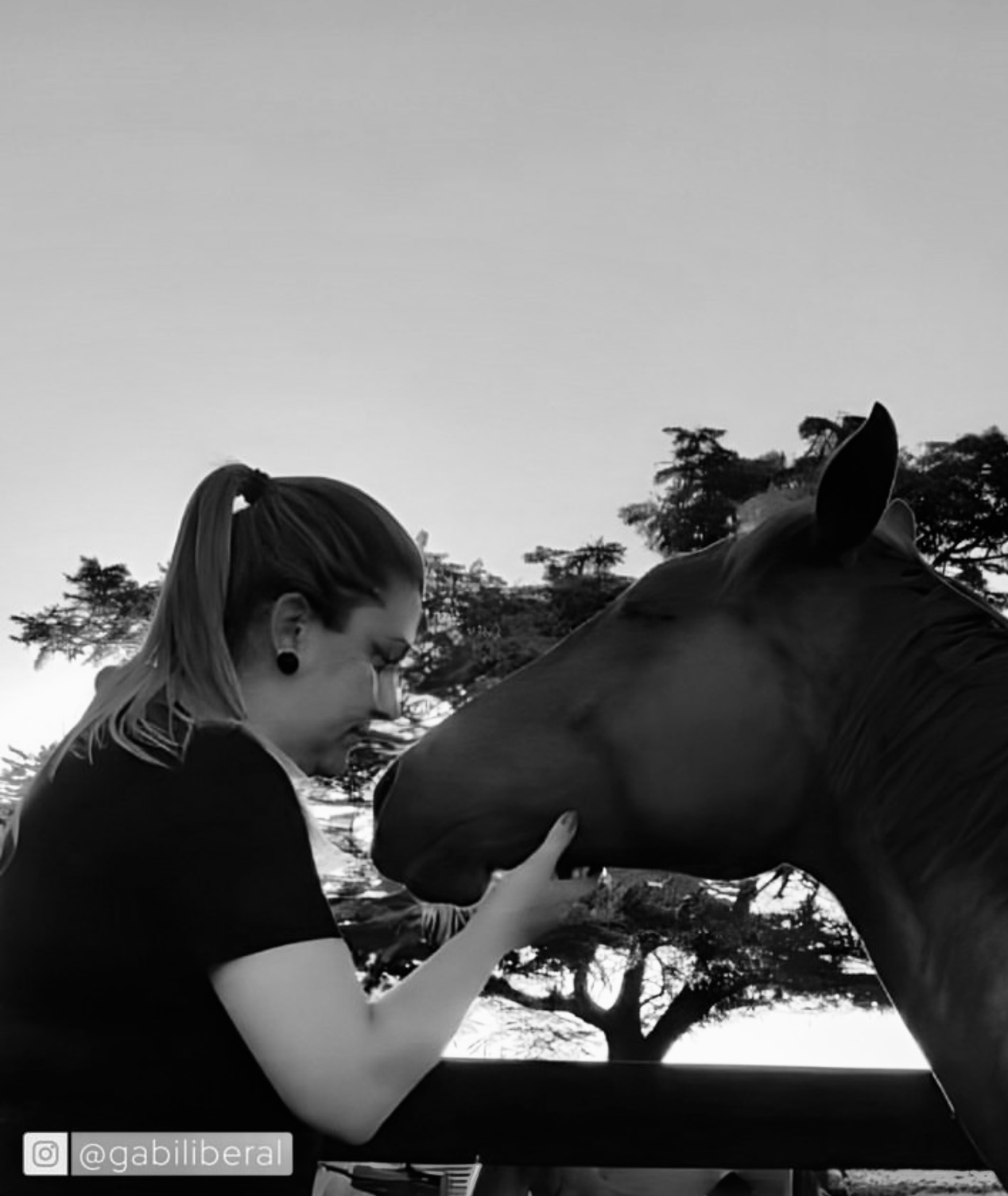 Constelacão Familiar Assistida por Cavalos