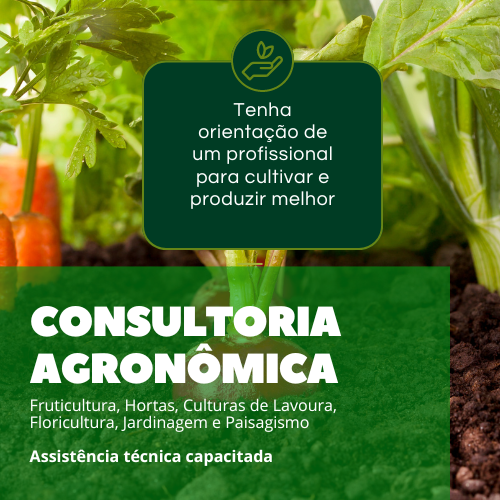 Consultoria Agronômica Especializada