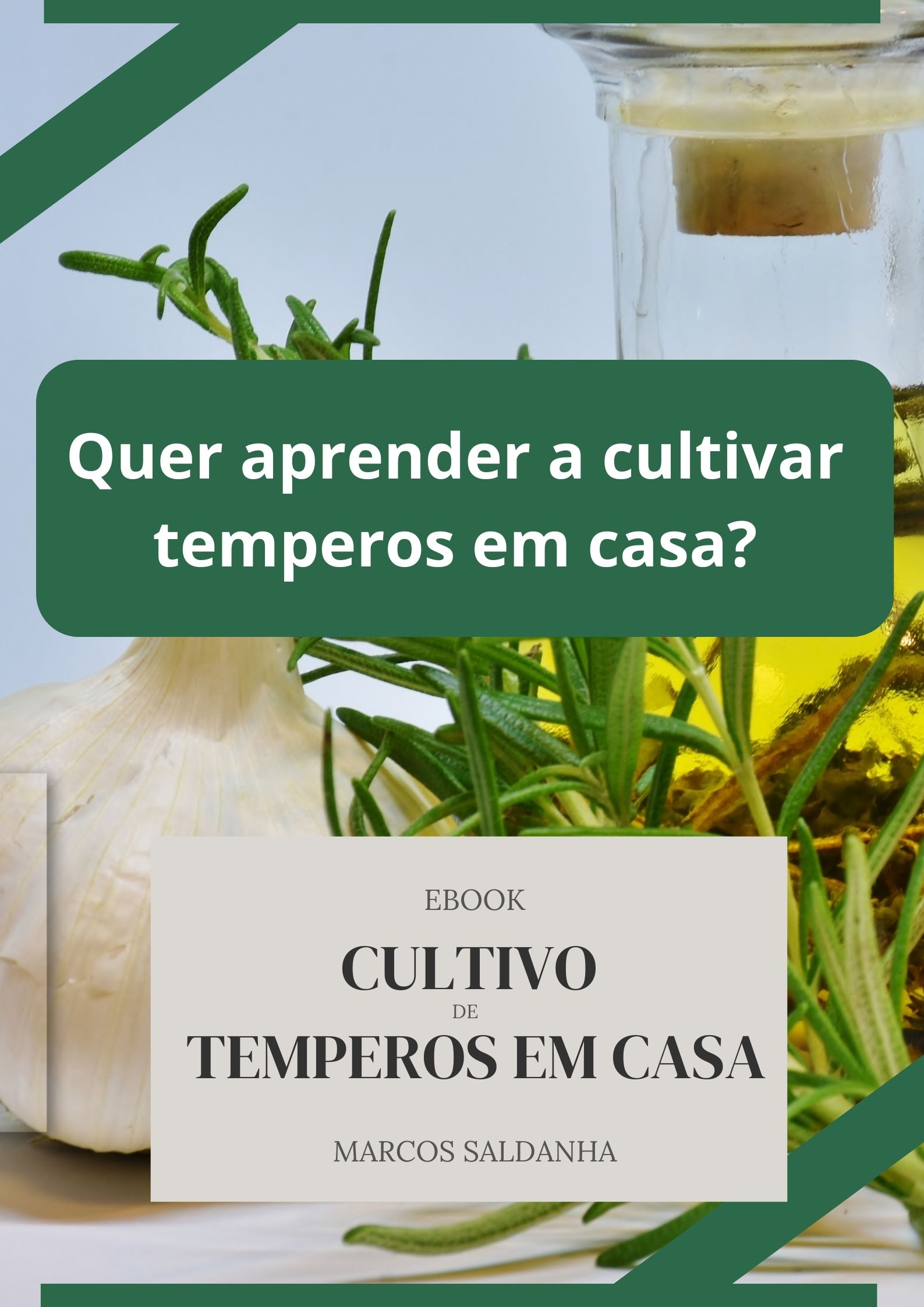 Cultivo de Temperos em Casa