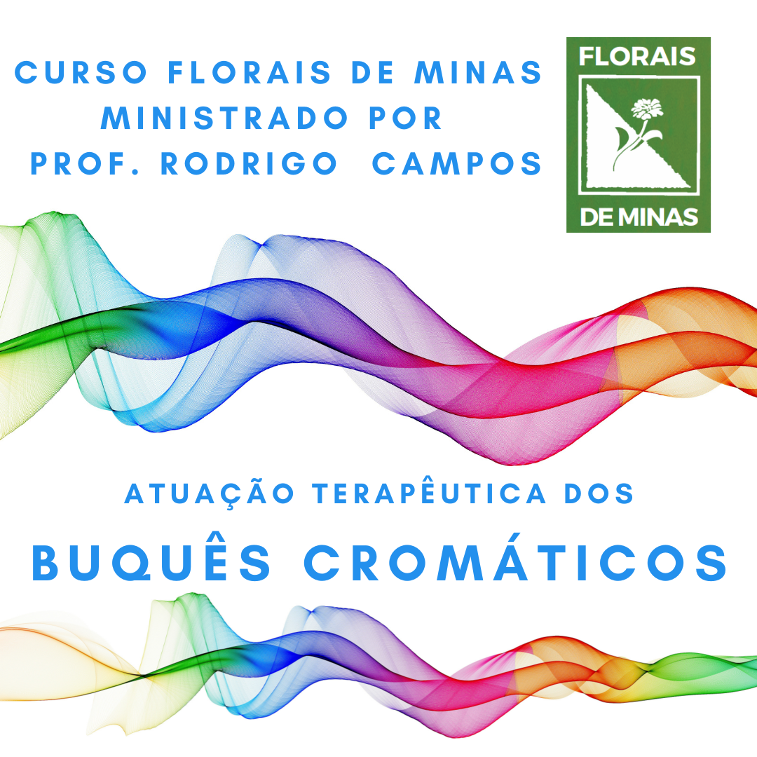 Curso Buquês Cromáticos dos Florais de Minas