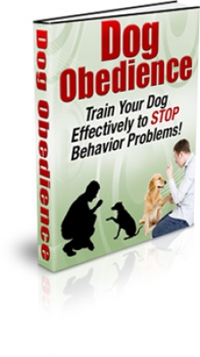 Cão Obediente