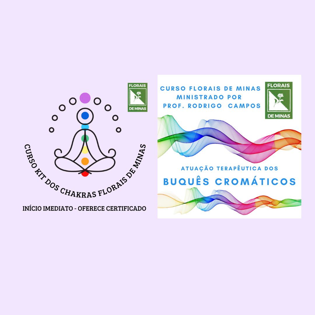 PROMOÇÃO! 2 CURSOS POR 1! Curso Kit dos Chakras e Buquês Cromáticos Florais de Minas