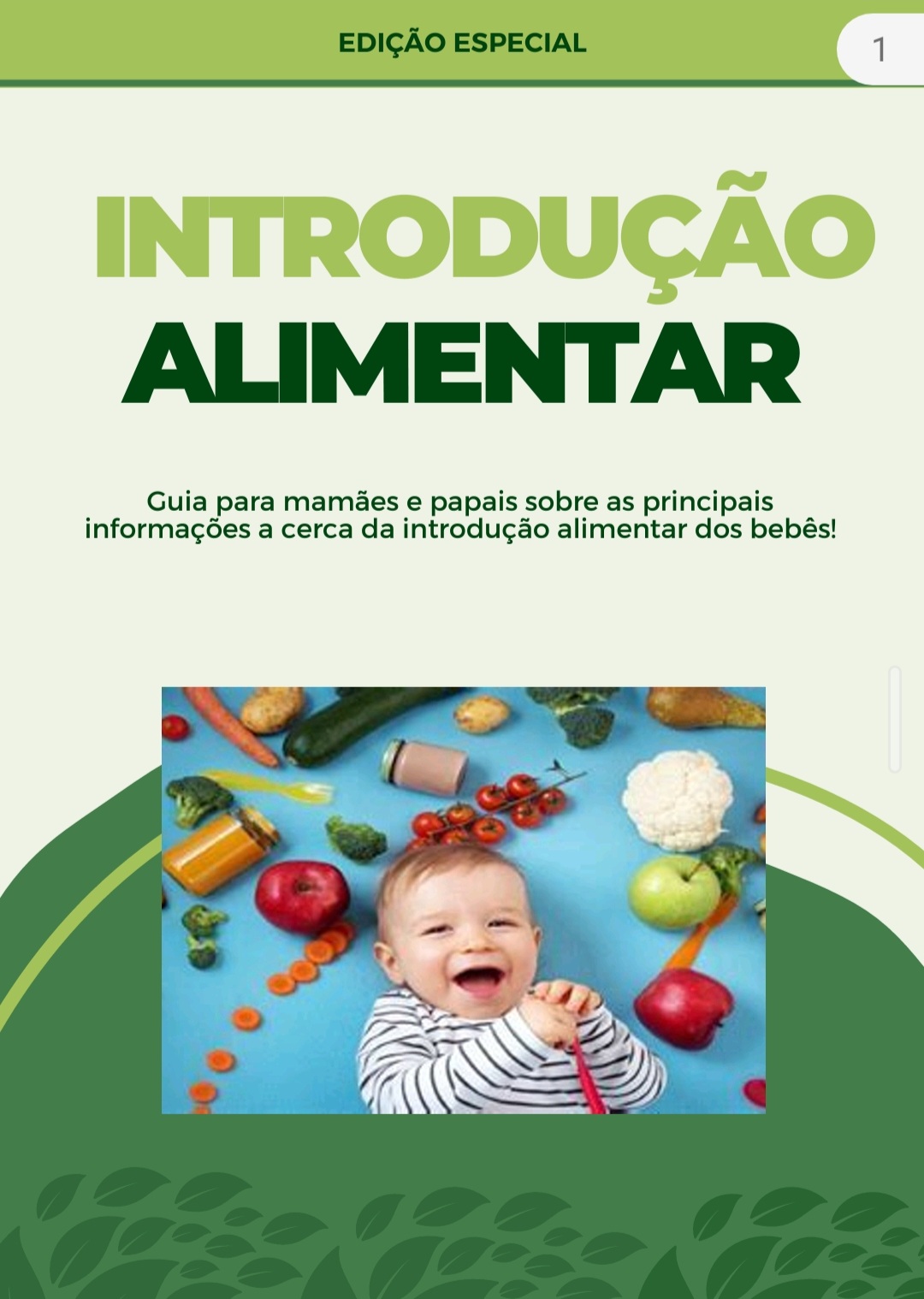 Ebook Introdução Alimentar em bebês