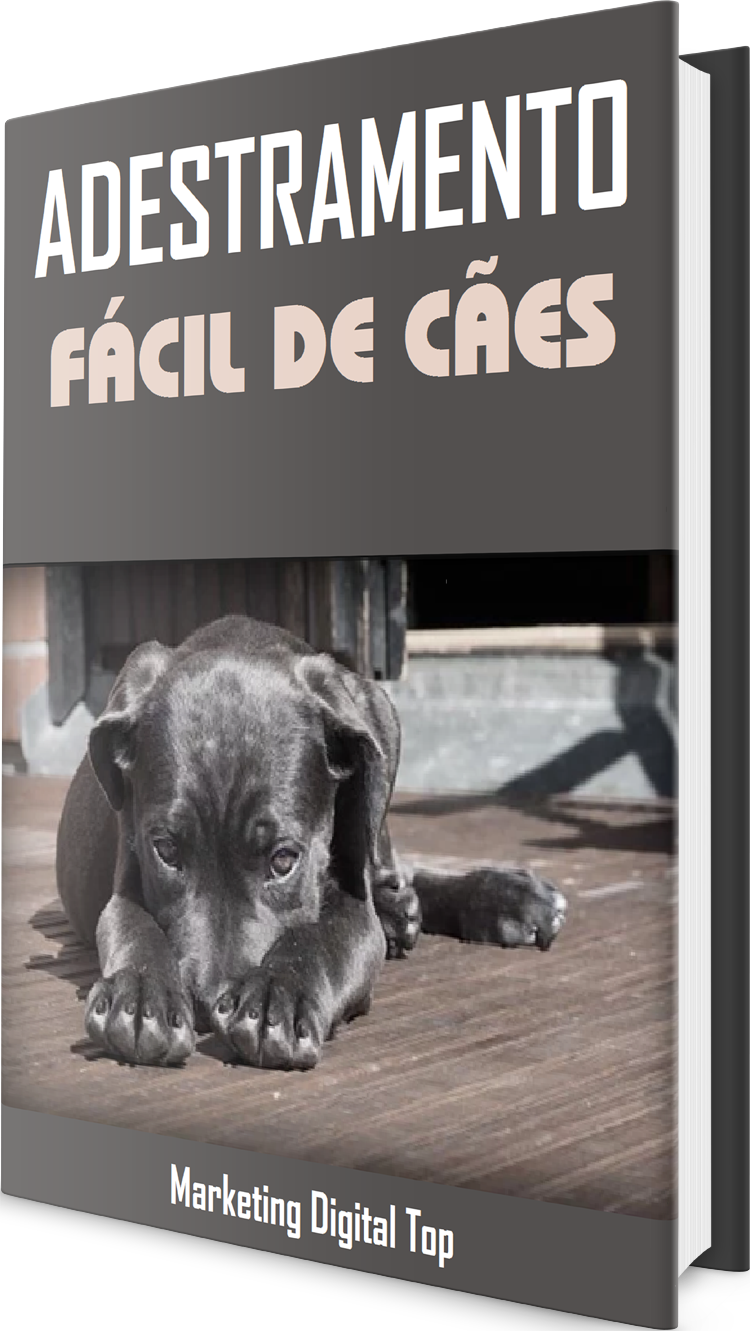 Adestramento de cães