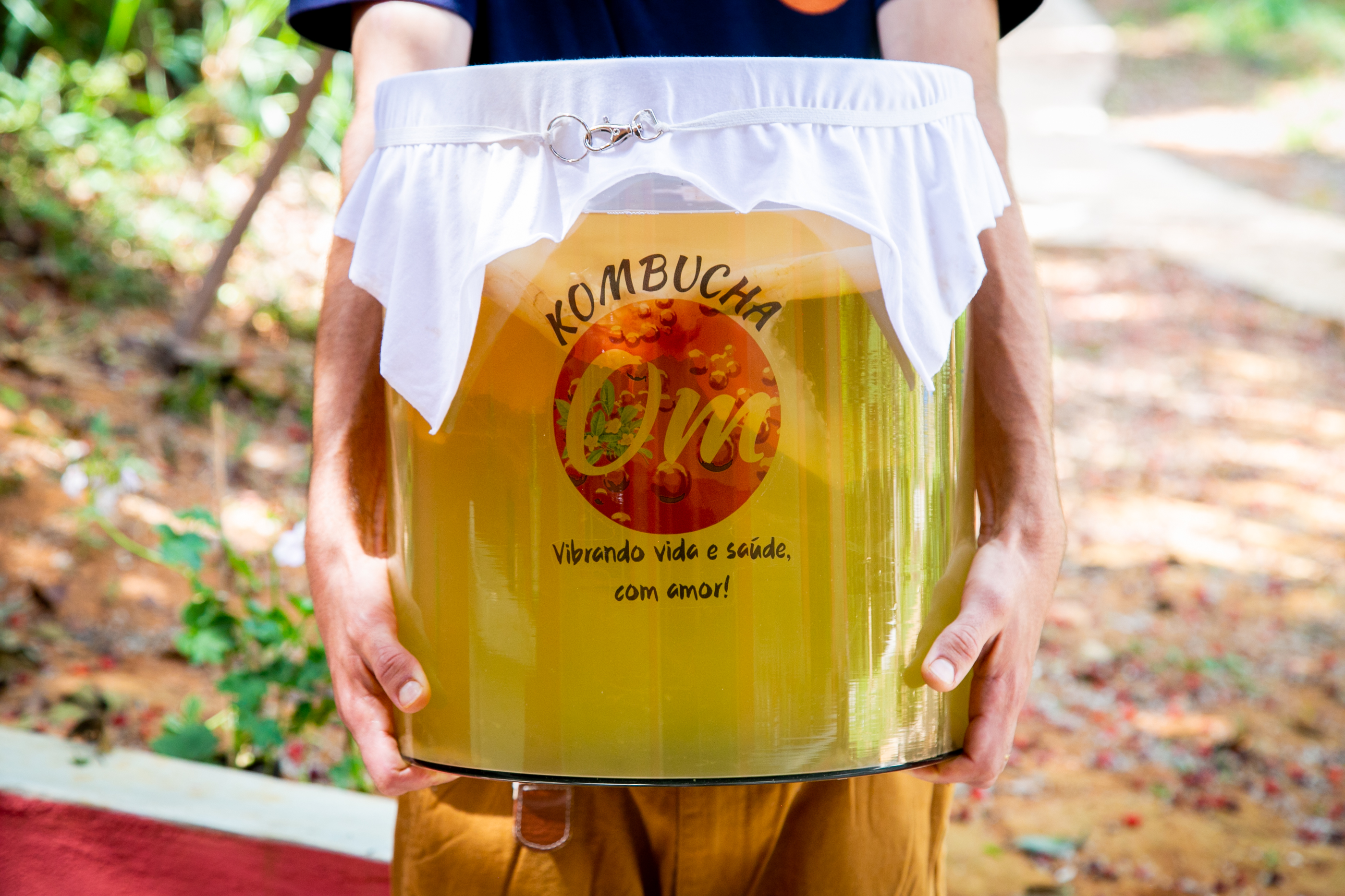 Kombucha para todos - Fermentação artesanal