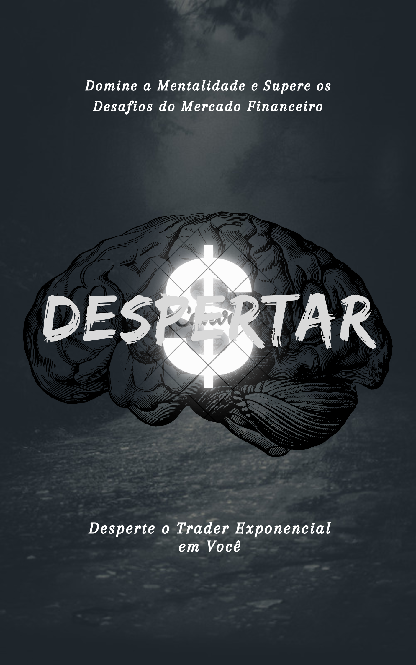 O DESPERTAR
