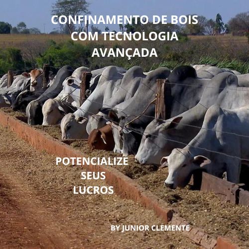 Confinamento de Bois com tecnologia avançadas