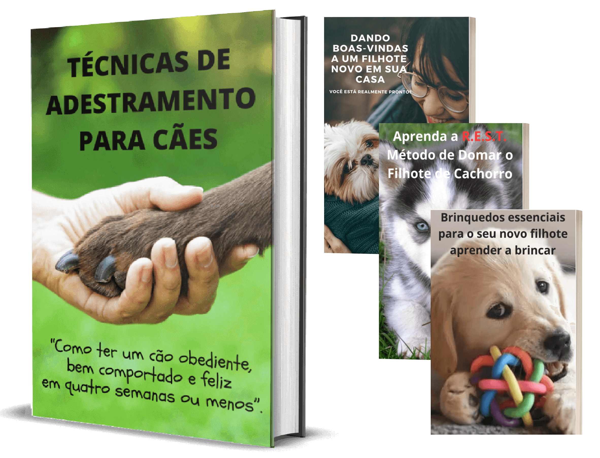 Técnicas de Adestramento para Cães