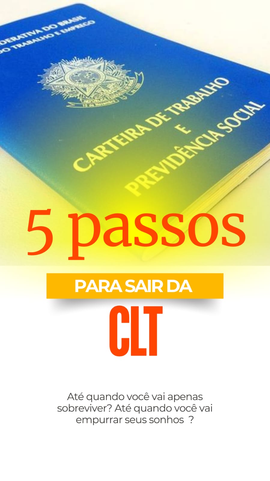 LUIZ GUSTAVO PEREIRA DOS SANTOS