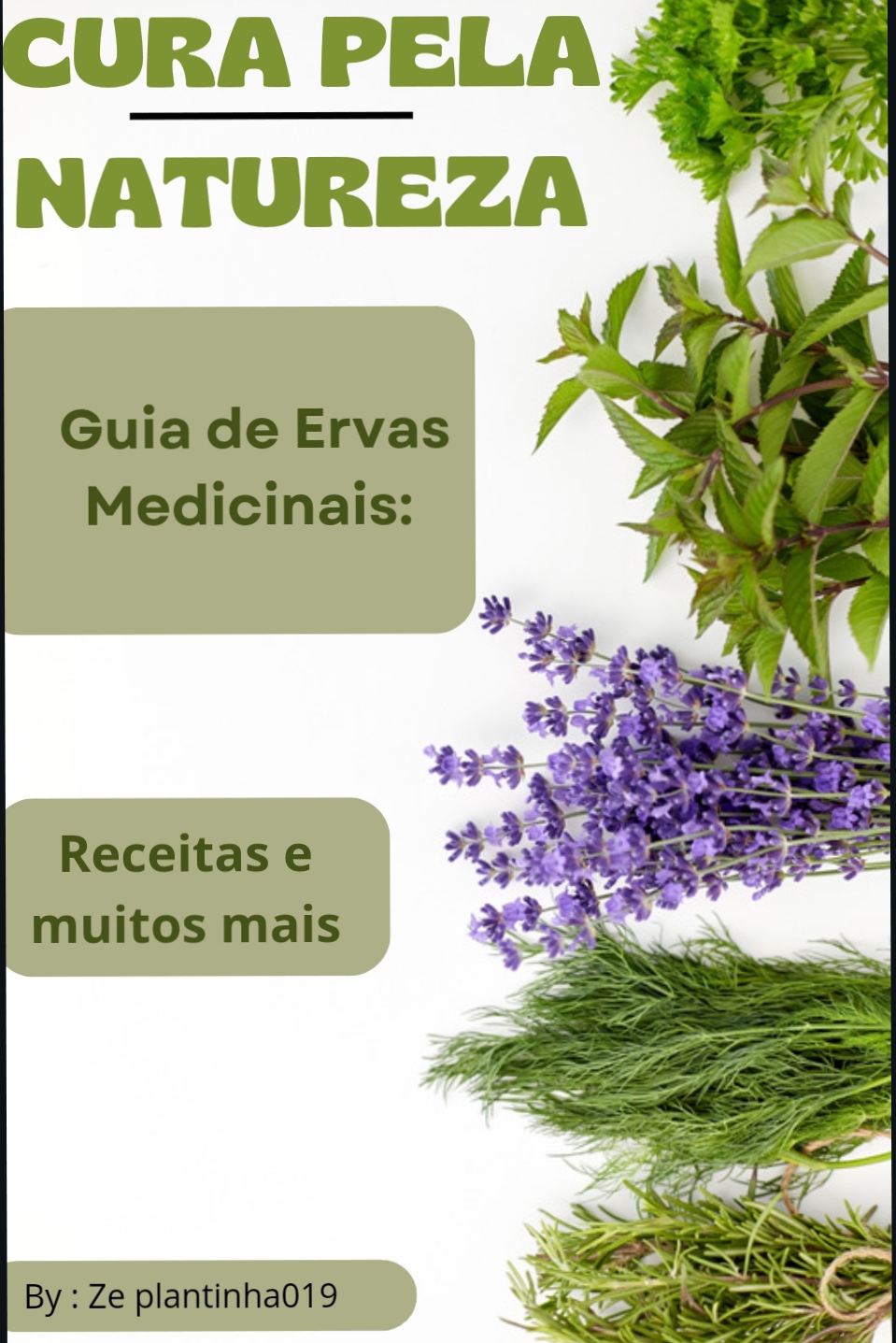 CURA PELA NATUREZA , GUIA ERVAS MEDICINAIS