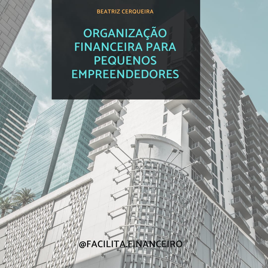 E-book-Organização financeira para pequenos empreendedores