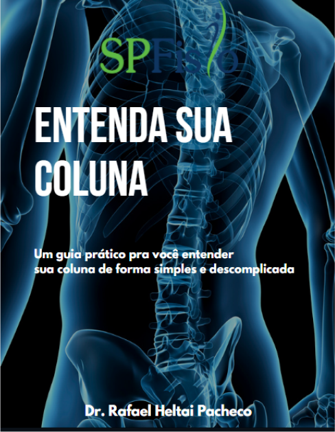 Entenda sua coluna