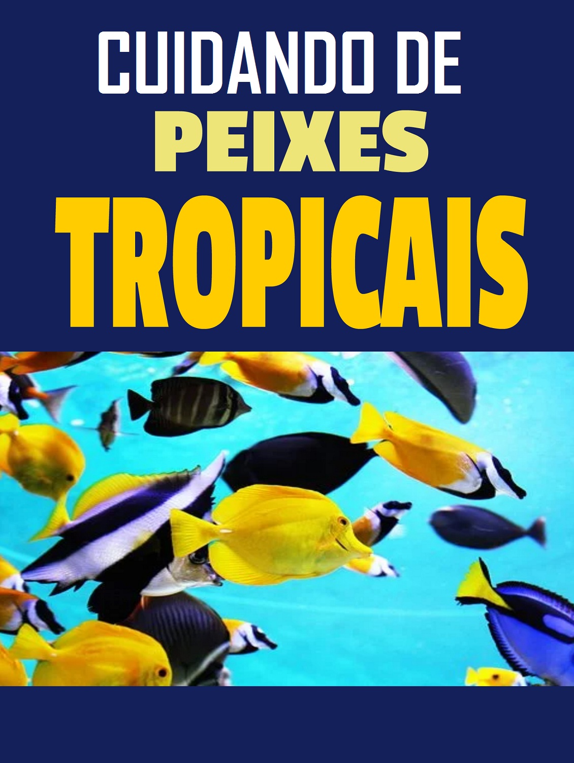 Cuidando de peixes tropicais