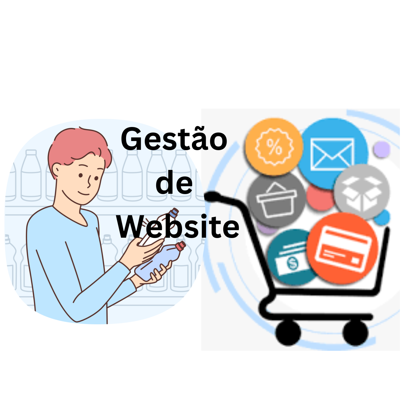 Gestão de Website