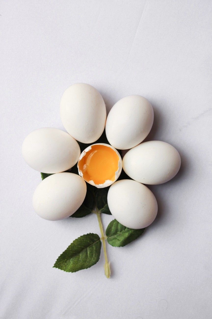 Receitas com ovos criadas por mim para facilitar sua rotina