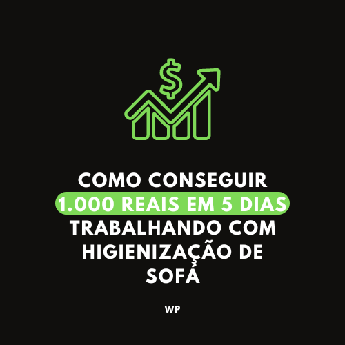Como conseguir 1.000 reais em 5 dias trabalhando com higienização de sofá