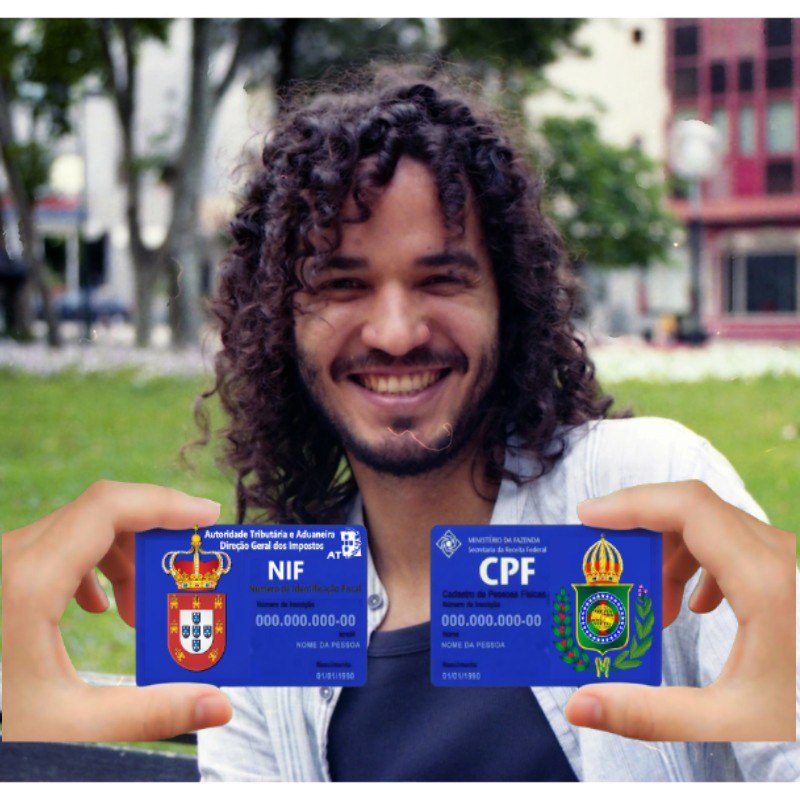 MEI em Portugal