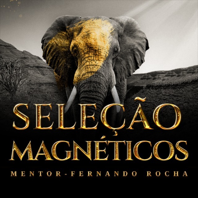 COMUNIDADE GIGANTES MAGNÉTICOS