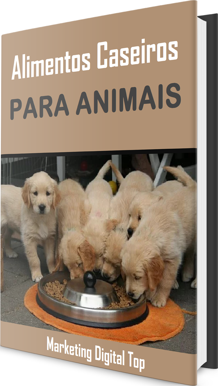 Alimentos caseiros para cães